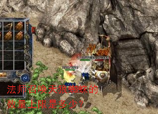 ��ʦ�ٻ�����֩������������Ƕ��٣�