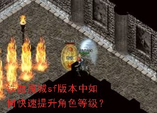 ��Ѫħ��sf�汾����ο���������ɫ�ȼ���