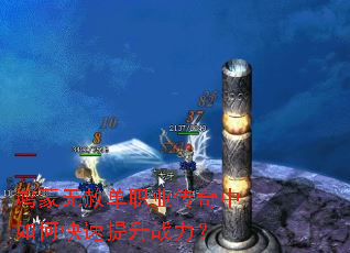 �������ⵥְҵ��������ο�������ս����