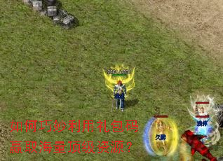 如何巧妙利用礼包码赢取海量顶级资源? 如何巧妙利用礼包码赢取海量顶级资源?