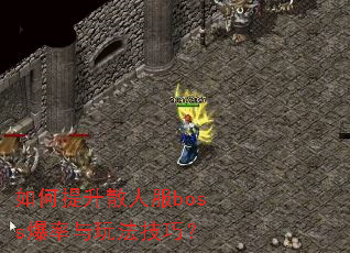 �������ɢ�˷�boss�������淨���ɣ�