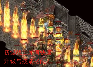 初级战士如何快速升级与技能搭配? 初级战士如何快速升级与技能搭配?