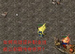 ��θ�Ч����ְҵ�����ԳưԴ������磿