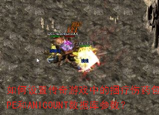 ������ô�����Ϸ�е�������ҩ��SHAPE��ANICOUNT���ݿ������