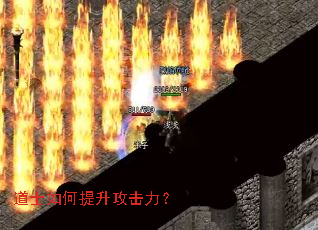 ��ʿ���������������