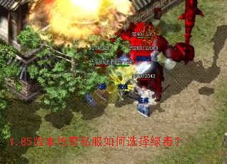 1.85�汾����˽�����ѡ���̶���