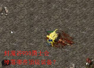 ��ħ��900��ʿ�������Щ����װ����