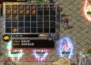 ����˽����Ӵ�BOSS����Щʵ�ü��ɣ�