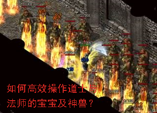 如何高效操作道士与法师的宝宝及神兽? 如何高效操作道士与法师的宝宝及神兽?