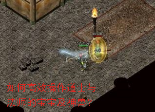 如何高效操作道士与法师的宝宝及神兽? 如何高效操作道士与法师的宝宝及神兽?