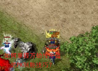 ���������ٴ����ʿ��PK��ʤ���ɣ�