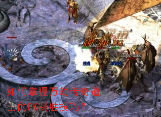 ���������ٴ����ʿ��PK��ʤ���ɣ�