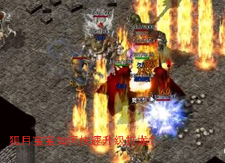 ���±�����ο�������������