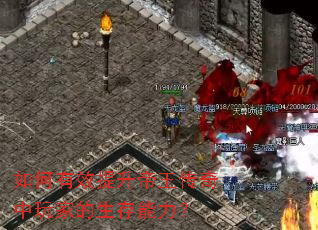 �����Ч����������������ҵ�����������