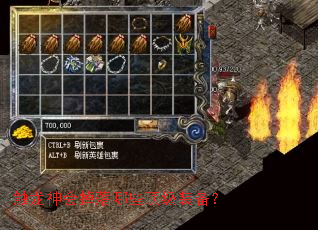 ������������Щ����װ����