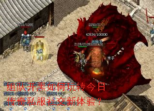 组队开黑如何玩转今日传奇私服社交新体验? 组队开黑如何玩转今日传奇私服社交新体验?