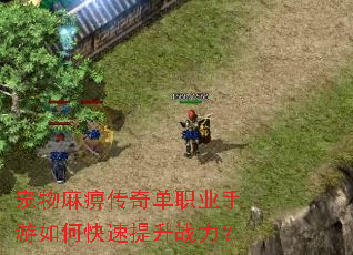 宠物麻痹传奇单职业手游如何快速提升战力? 宠物麻痹传奇单职业手游如何快速提升战力?