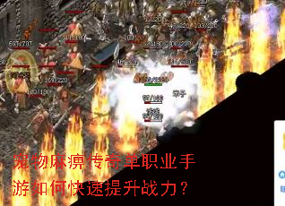 宠物麻痹传奇单职业手游如何快速提升战力? 宠物麻痹传奇单职业手游如何快速提升战力?