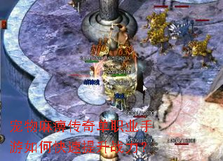 宠物麻痹传奇单职业手游如何快速提升战力? 宠物麻痹传奇单职业手游如何快速提升战力?