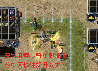 宠物麻痹传奇单职业手游如何快速提升战力? 宠物麻痹传奇单职业手游如何快速提升战力?