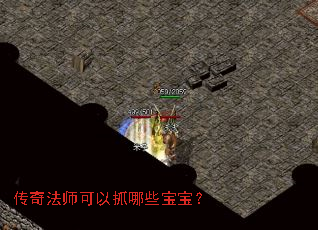 传奇法师可以抓哪些宝宝? 传奇法师可以抓哪些宝宝?