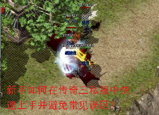 ��������ڴ�����˽���п������ֲ����ⳣ��������