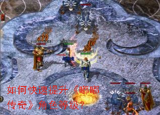 如何快速提升《嘟嘟传奇》角色等级? 如何快速提升《嘟嘟传奇》角色等级?