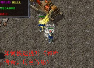 如何快速提升《嘟嘟传奇》角色等级? 如何快速提升《嘟嘟传奇》角色等级?