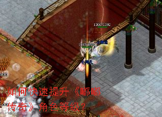 如何快速提升《嘟嘟传奇》角色等级? 如何快速提升《嘟嘟传奇》角色等级?