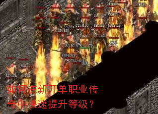 如何在新开单职业传奇中快速提升等级? 如何在新开单职业传奇中快速提升等级?
