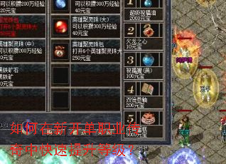 如何在新开单职业传奇中快速提升等级? 如何在新开单职业传奇中快速提升等级?