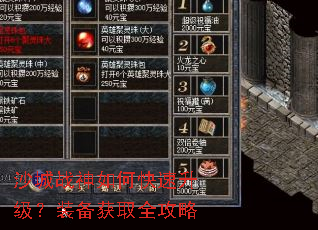 ɳ��ս����ο���������װ����ȡȫ����