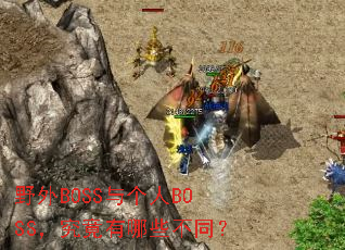 野外BOSS与个人BOSS,究竟有哪些不同? 野外BOSS与个人BOSS,究竟有哪些不同?