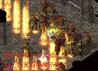 野外BOSS与个人BOSS,究竟有哪些不同? 野外BOSS与个人BOSS,究竟有哪些不同?
