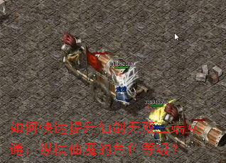 如何快速提升仙剑无双三端互通:纵横仙魔的角色等级? 如何快速提升仙剑无双三端互通:纵横仙魔的角色等级?