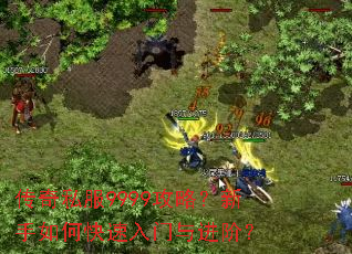 传奇私服9999攻略?新手如何快速入门与进阶? 传奇私服9999攻略?新手如何快速入门与进阶?
