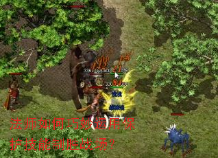 ��ʦ����������ñ���������ʤս����