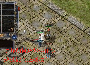 ��ʦ����������ñ���������ʤս����