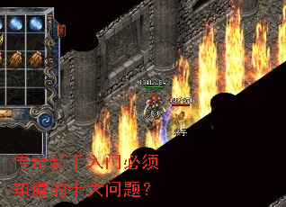 �����������ű���֪����ʮ�����⣿