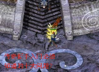 �����������ű���֪����ʮ�����⣿