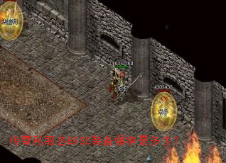 ����˽����BOSSװ�������Ƕ��٣�