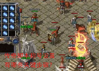 ����ű��ƺ���������Щ�ؼ����裿