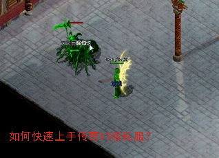 ��ο������ִ���13��˽����