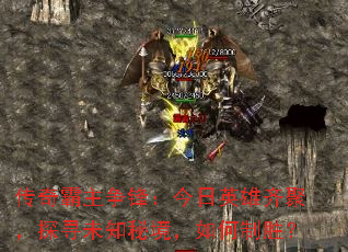 ����������棺����Ӣ����ۣ�̽Ѱδ֪�ؾ��������ʤ��