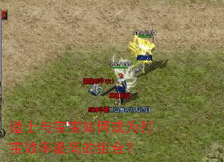 ��ʿ�뱦����γ�Ϊ��Ч����ߵ���ϣ�