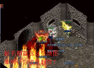 ��������ѡ���ŵ�ͼ��������ջ񷭱���