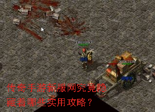 传奇手游新服网究竟隐藏着哪些实用攻略? 传奇手游新服网究竟隐藏着哪些实用攻略?