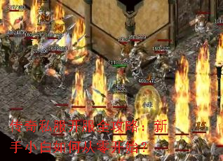 传奇私服开服全攻略:新手小白如何从零开始? 传奇私服开服全攻略:新手小白如何从零开始?