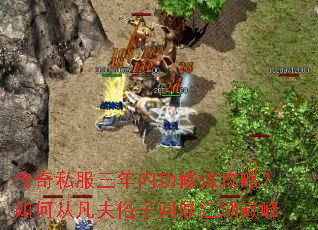 ����˽�������ڹ��������ԣ���δӷ��������ʶ������۷�