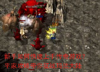 ������ο������ִ�����Ϸ��ƽ�ҹ��Դ�����ս�귨��½